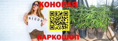 прущий лед Пугачёв