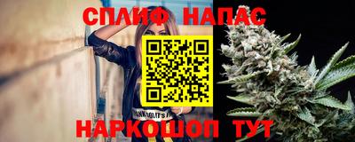 МДПВ Пушкино