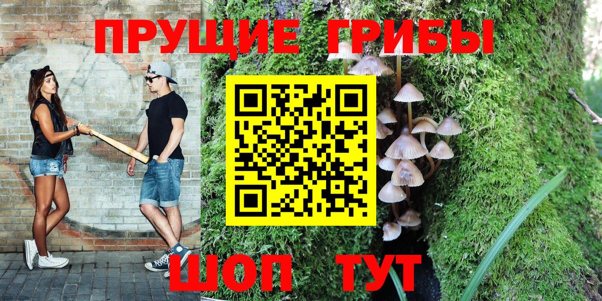 Галлюциногенные грибы Cubensis Асбест